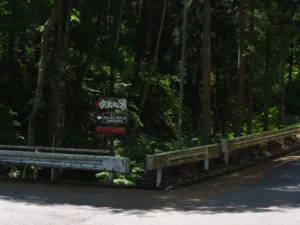 山道のY字路看板